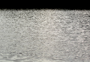 twinkling lake.jpg
